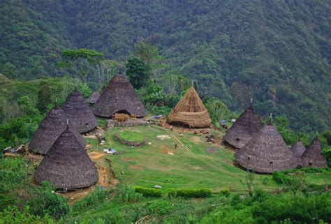 Wae Rebo Exploring The Highlands Of Flores Discover Your Indonesia