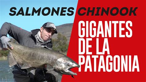 La Pesca Del Salm N Chinook El Gigante De La Patagonia Youtube