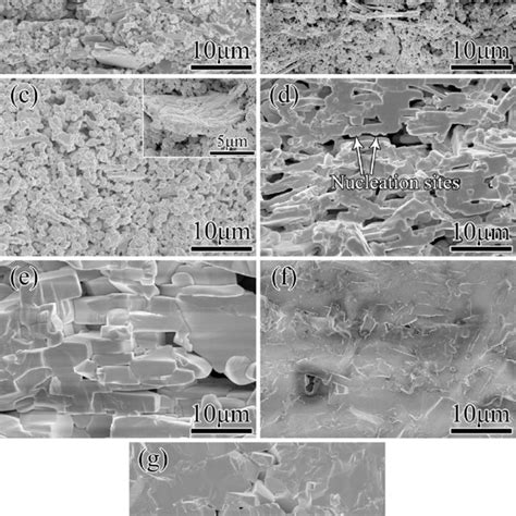 Micrographs Of The Textured Bnbk Specimens Sintered At A C For