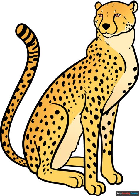 Cheetah Images Drawing - Infoupdate.org