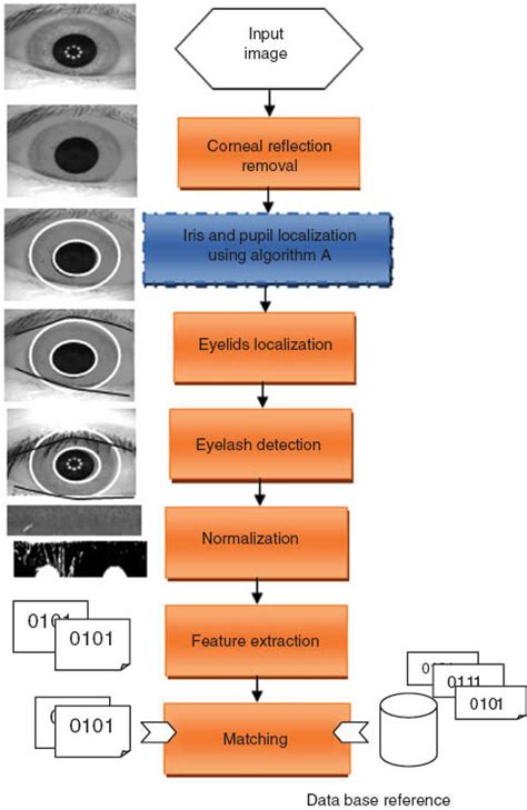 Flowchart Of The Proposed Iris Recognition System Download