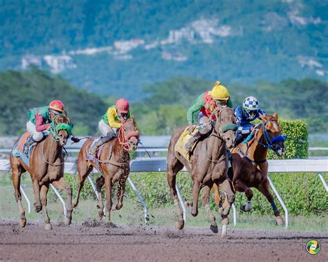 TML - 🇯🇲 🇯🇲🇯🇲 🧲 HORSE RACING 🧲 🏟️ Caymanas Park | Nov 16, 2025 🏆 Cash