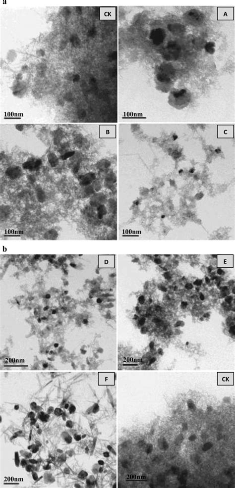 TEM micrographs of goethite and ferrihydrite particles | Download ...