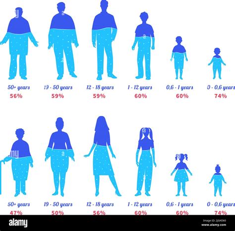 Agua En El Cuerpo Humano Siluetas De Personas De Diferentes Edades Con