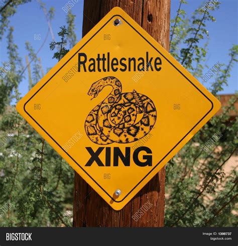 Snake Warning Sign Image And Photo Free Trial Bigstock