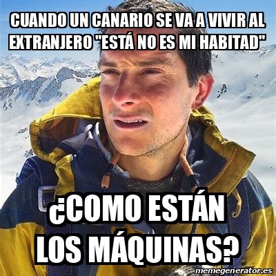 Meme Bear Grylls Cuando Un Canario Se Va A Vivir Al Extranjero Est