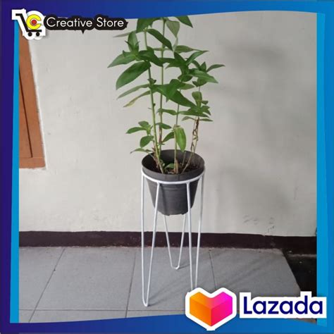 Standing Planter Standing Pot Rak Pot Murah Rak Pot Bunga Besi