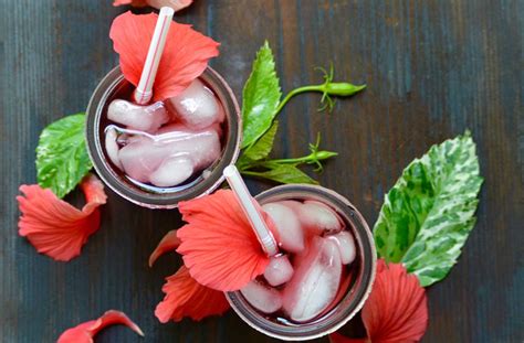 Quem Não Pode Tomar Hibisco - Saiba quem não pode tomar chá de hibisco e contraindicações
