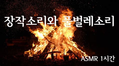 Asmr 장작 타는 소리 풀벌레 소리 1시간 연속 재생 Youtube