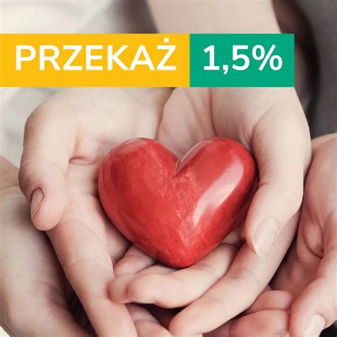 Rozliczenie PIT wskazówki i bezpłatna pomoc MapujPomoc pl