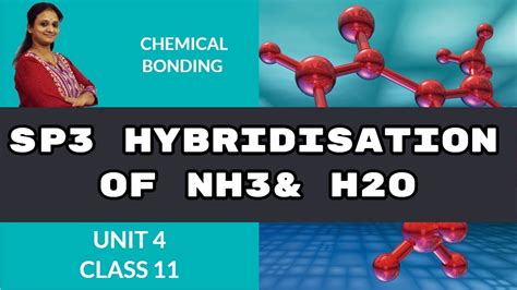 Sp3 Hybridisation Of Nh3 And H2o Chemical Bonding Cbse Class 11 Chemistry Youtube