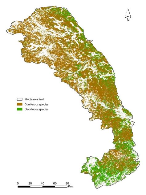 The result of the classification of the tree species | Download ... 