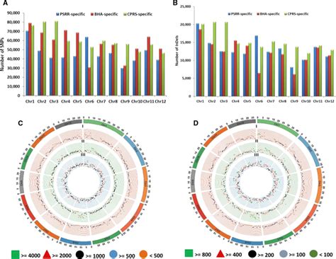 Number And Distribution Of Genotype Specific Snps A And Indels B