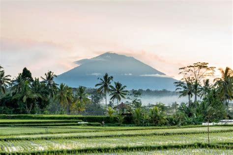 Hiking in Bali | The 10 BEST Trails in Bali to Hike (2025)