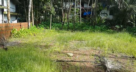 Residential Plot 22 Cent For Sale In Thalassery Kannur REI1009065