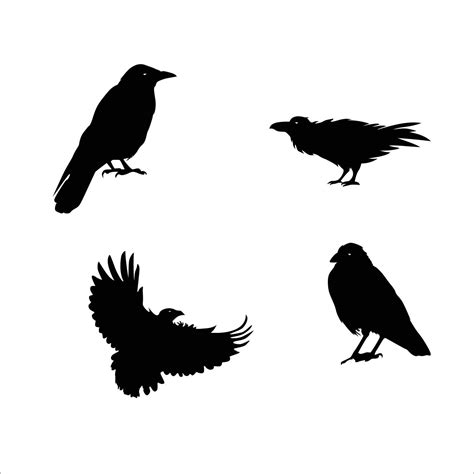 set of raven silhouette. black bird vector illustration. 10504470 Vector Art at Vecteezy