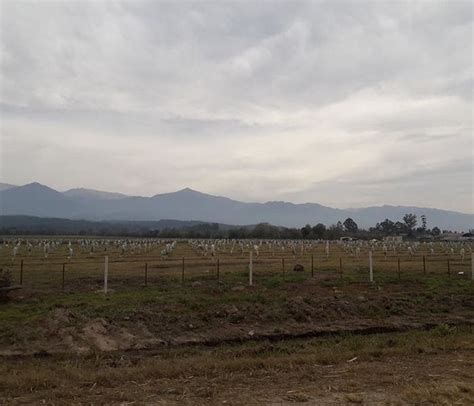 Cu Ndo Cambia El Tiempo Monterizos