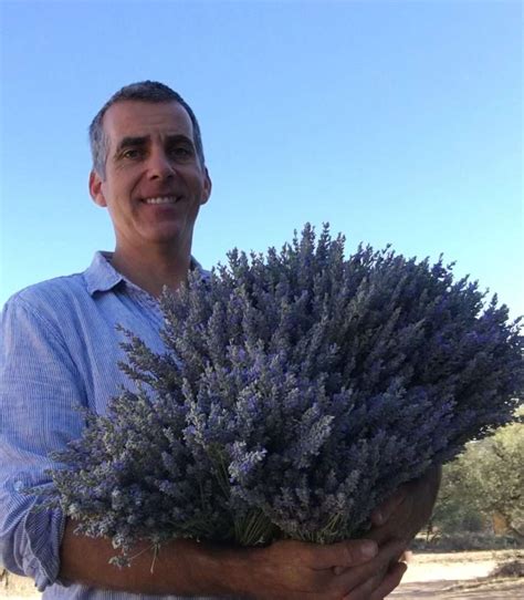 Skull Valley Lavender Farm Prescott Farmers Market