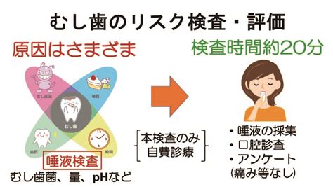 【歯科保健関係者向け】むし歯予防・管理の最前線－削らずに歯を護り管理する｜公益財団法人新潟県健康づくり財団