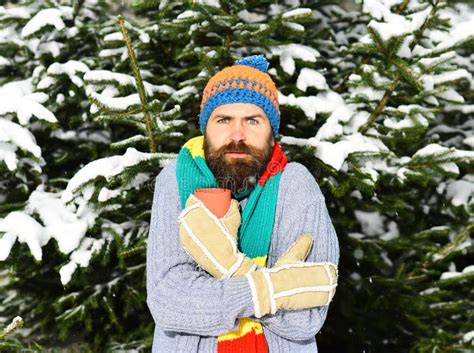 Man Wears Knitted Hat Scarf And Warm Gloves Stock Photo Image Of