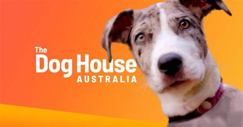 The Dog House Australia Season 3 Episode 2: Release Date & Streaming ...