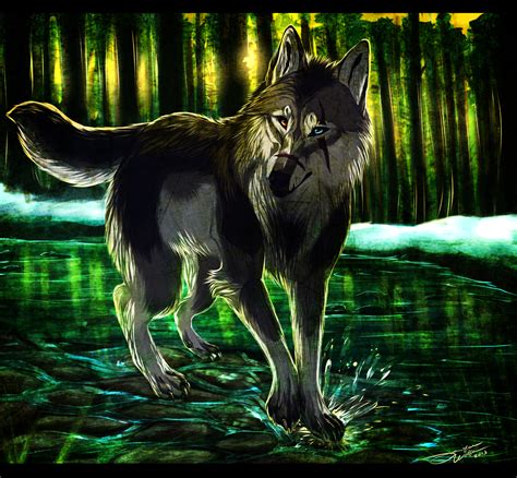 Forest Wolf Art Fantasy Wolf Wolf Dog