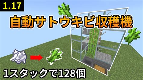 マイクラ統合版 骨粉式自動サトウキビ収穫機の作り方 Ps4switchxboxmcpewindows10 117 Youtube