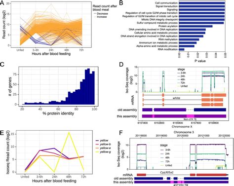 Author Correction Hidden Genomic Features Of An Invasive Malaria