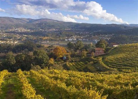 Pernod Ricard launches Albariño from Rías Baixas Drinks Retailing