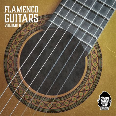 Flamenco Guitars Vol 6 Sample Pack LANDR Samples