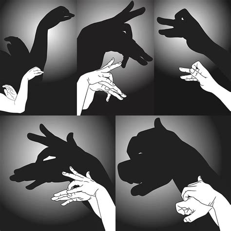 Shadow Puppets With Your Hands