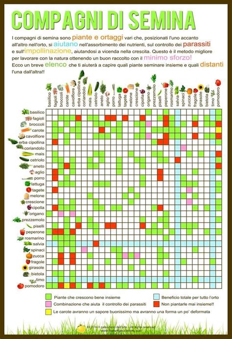 Calendario Semina Orto 2024 Guida Completa E PDF Stampabile Calendario