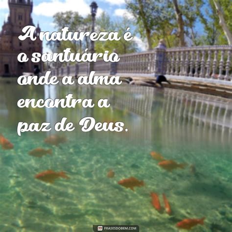 Frase Natureza E Deus - Frases Inspiradoras sobre Deus e a Beleza da Natureza: Conexões ...