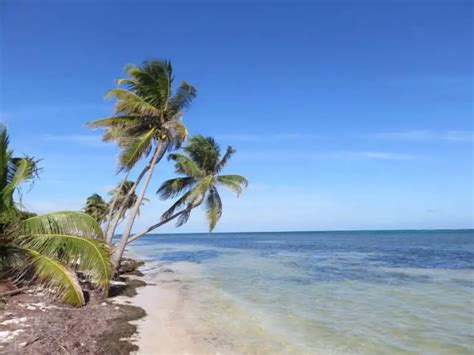 Ambergris Caye A Walk Down South On A Gorgeous Sunday Afternoon San