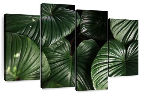 Tropical Leaves Wall Art Photography