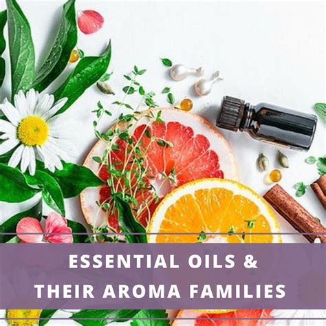 Essential Oil Aroma Families Aromatherapy Anywhere