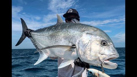 Topwater Monster Gt Fishing In Paradise Youtube