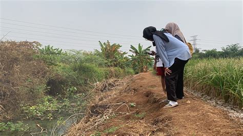 Dampak El Nino Sawah Di Bekasi Alami Kekeringan Okezone Megapolitan