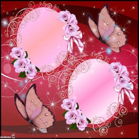 Rose Frames Starry Background