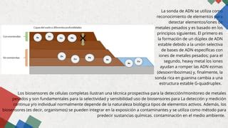 UNA REVISIÓN DE LOS BIOSENSORES PARA EL MONITOREO AMBIENTAL pdf