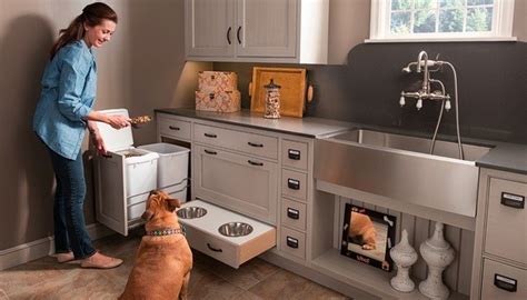 40 Easy Dog Wash Station Ideas At Home Tail And Fur