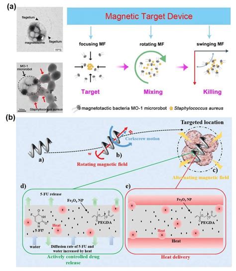 Examples Of The Application Of Micro Nanorobots As Surgery Tools In Download Scientific Diagram