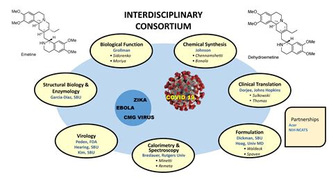 Rational Design Of Antiviral Drugs Renaissance School Of Medicine At