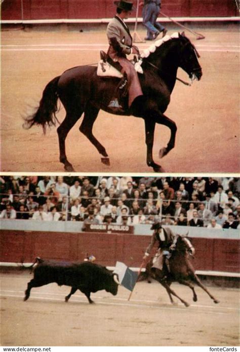 Stierkampf 73954110 Stierkampf Corrida De Toros Bullfight Alvaro Domeco