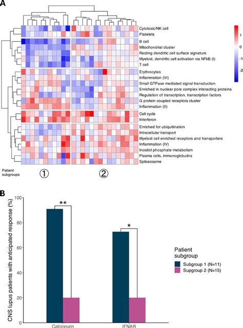 O15 B Cell T Cell Cytotoxic Nk Cell And Mitochondrial Gene