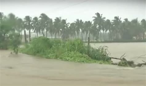 Three Districts Of Gujarat Received 100 Percent Rainfall This Monsoon