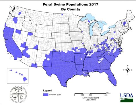 Usda Aphis | History Of Feral Swine In The Americas - Florida Wild Hog ...