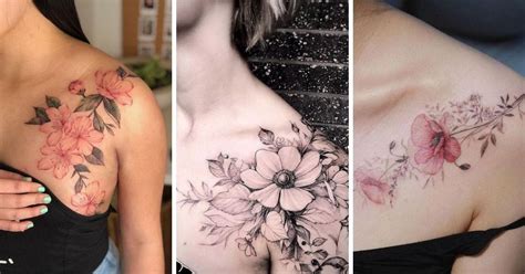 Tatuagens Florais Fant Sticas No Ombro Feminino P Gina De