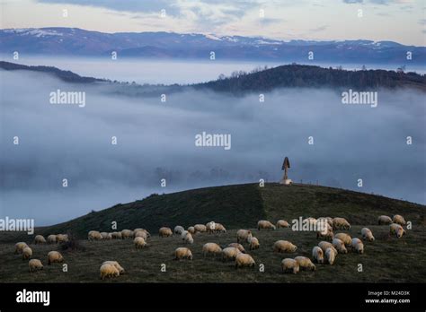 Transylvanian Meadow High Resolution Stock Photography And Images Alamy