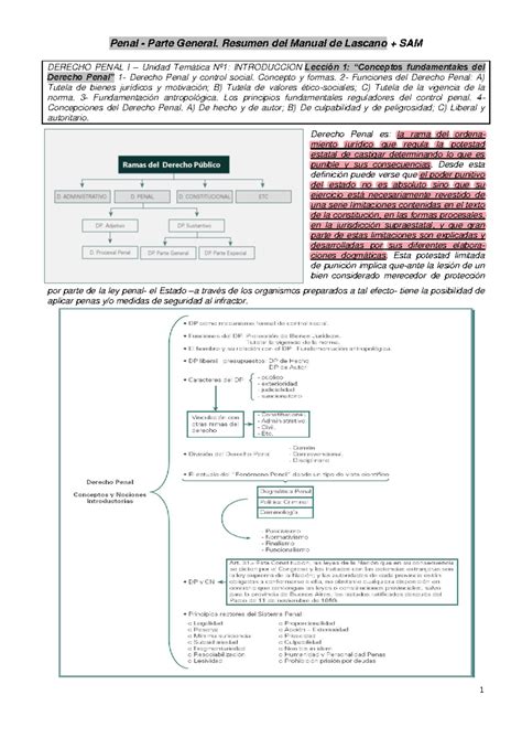 Derecho Penal I M1 Resumen Penal Parte General Resumen Del Manual